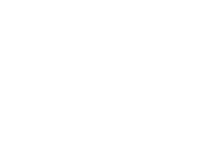 Mr Singhs Tuition footer logo